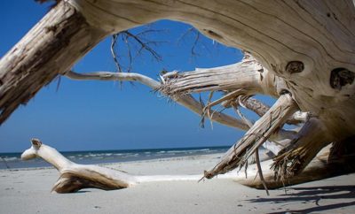 Hidden Gems in Jacksonville worth exploring